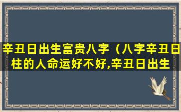 辛丑日出生富贵八字（八字辛丑日柱的人命运好不好,辛丑日出生 🐛 是 🌿 什么命）